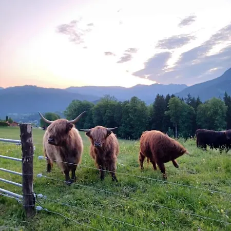 게스트하우스 Rennlehen 3*